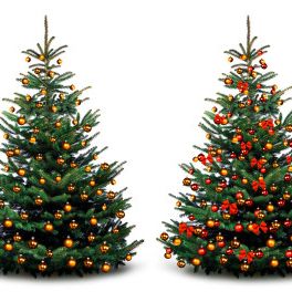 KERST*KERST*KERST*KERST*KERST*KERST*KERST*KERST