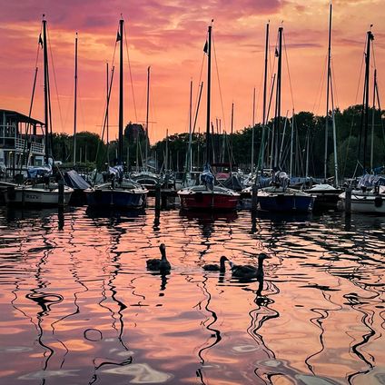 Zonsondergang Kralingse Plas