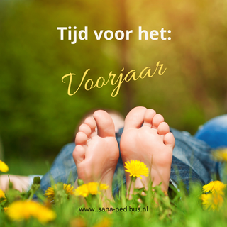 Onderkant van verzorgde blote voeten in het gras, met paardenbloemen op de voorgrond en planten op de achtergrond