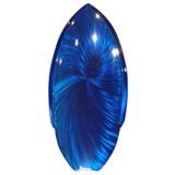 4655 Marine Blue