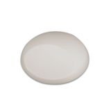 W089 Cream