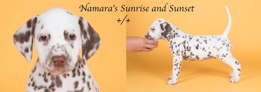 Namara's Sunrise and Sunset