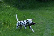 FB_IMG_1620218093654