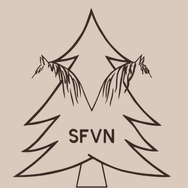  SFVN