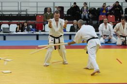 Karate performance, 2012