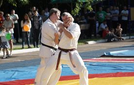 Karate performance