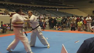 Tokyo Dream Cup, 2012