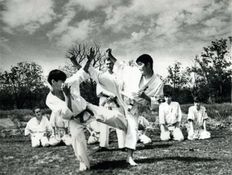 Karate lesson