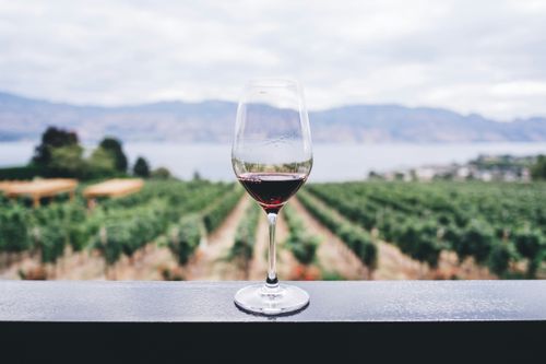 Barossa Valley wijn Australië 