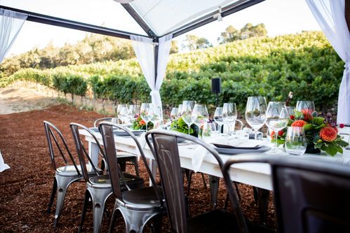 Napa Valley wijn uit Amerika