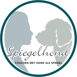 Spiegelhond