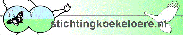 (c) Stichtingkoekeloere.nl