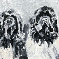 Honden