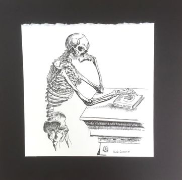 anatomie