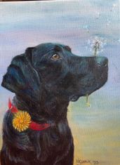 Hond