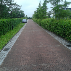 2013-06-21 09.29.03.jpg