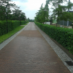 2013-06-22 11.46.12.jpg
