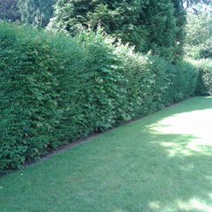 2013-07-08 13.11.39.jpg