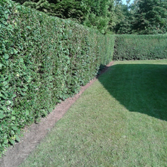 2013-07-09 08.57.12.jpg