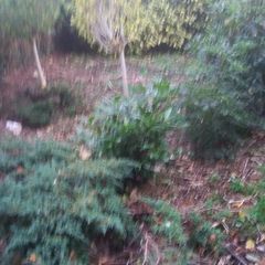 20151012_081223.jpg