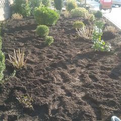 2016-03-16 09.03.56.jpg