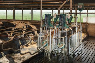 CowToilet afstand overview