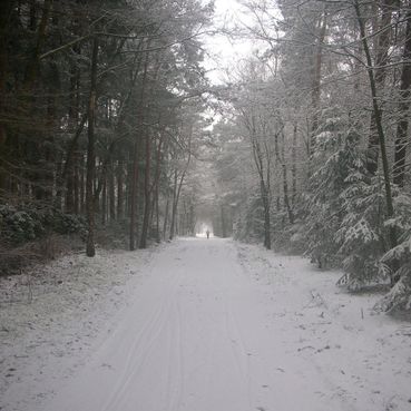 20110208_25