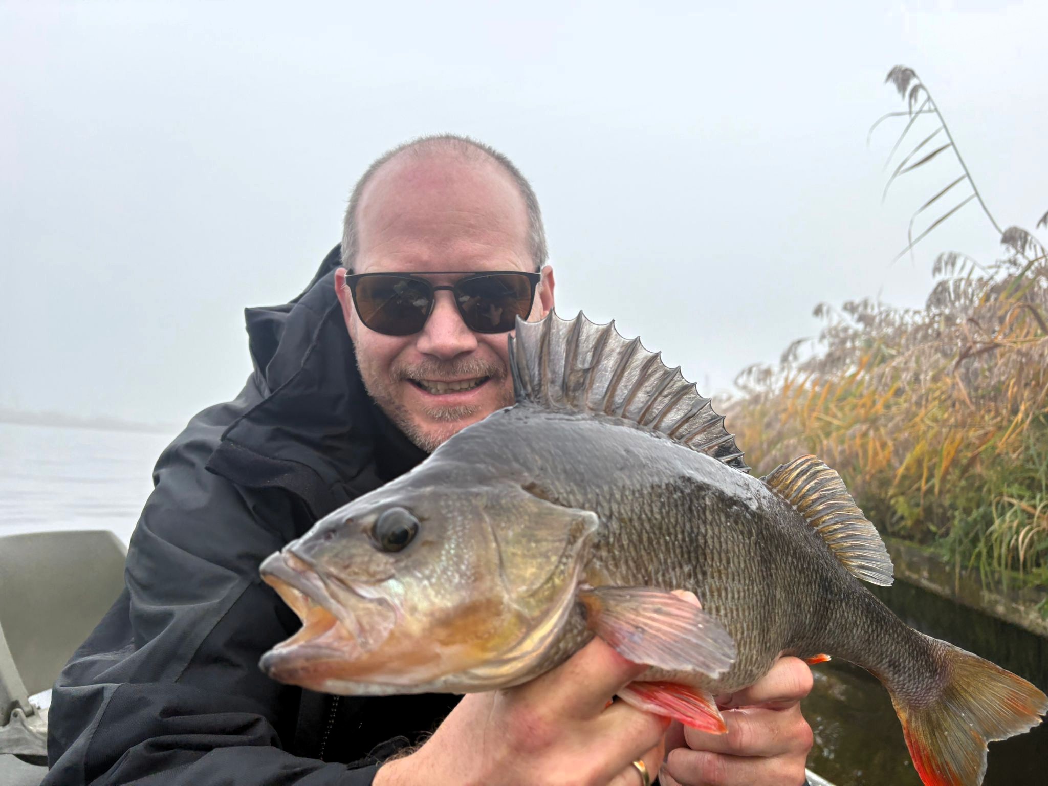 8db390a9-0244-45e0-a759-9367bfd3560d