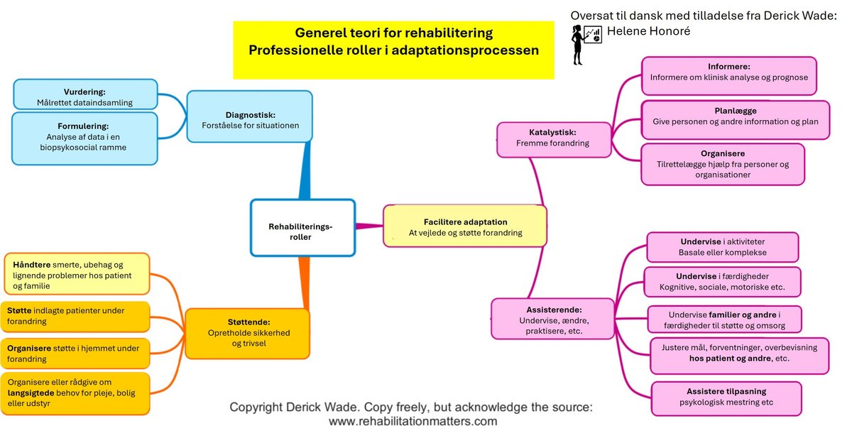 Rehabiliteringsroller og interventionstyper