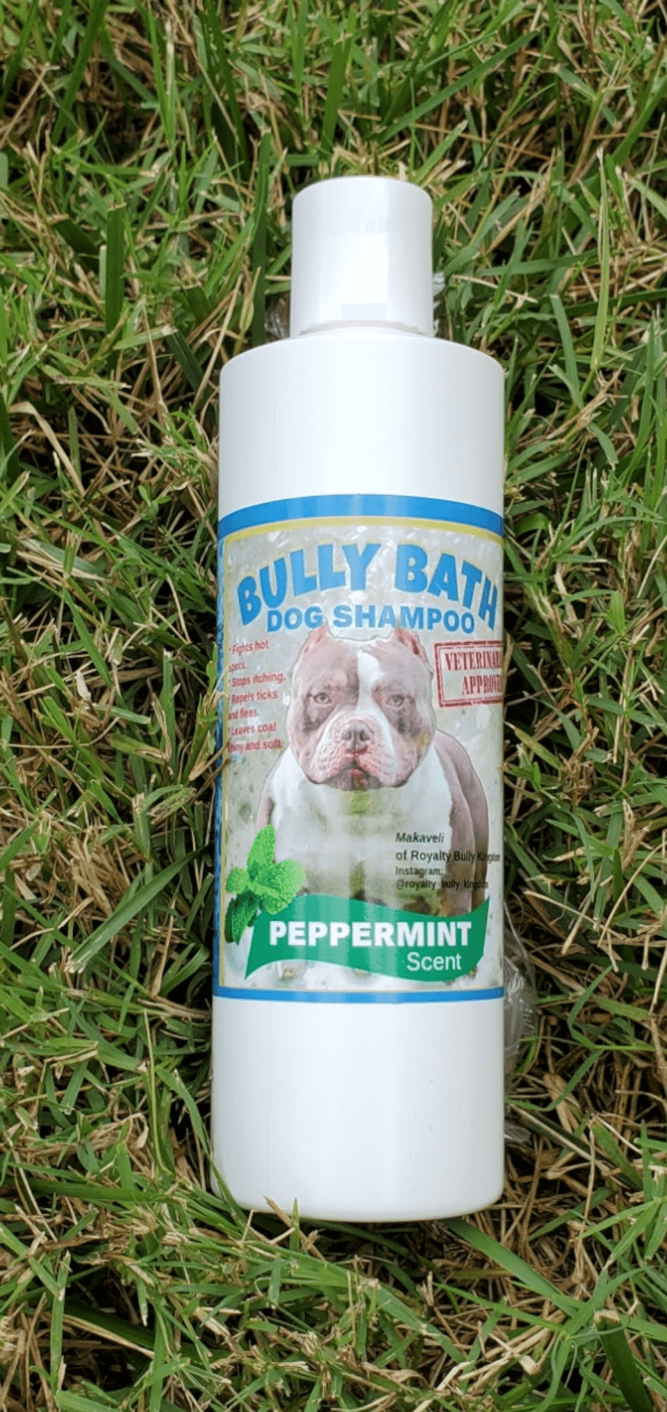 Best shampoo for american bully top
