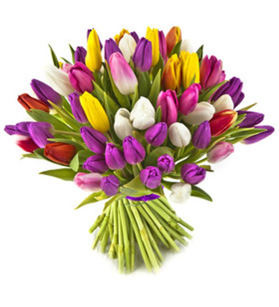 Mazzo rose rosse e tulipani bianchi » Acquista online e invia fiori e  piante a Giussano per consegna a domicilio.