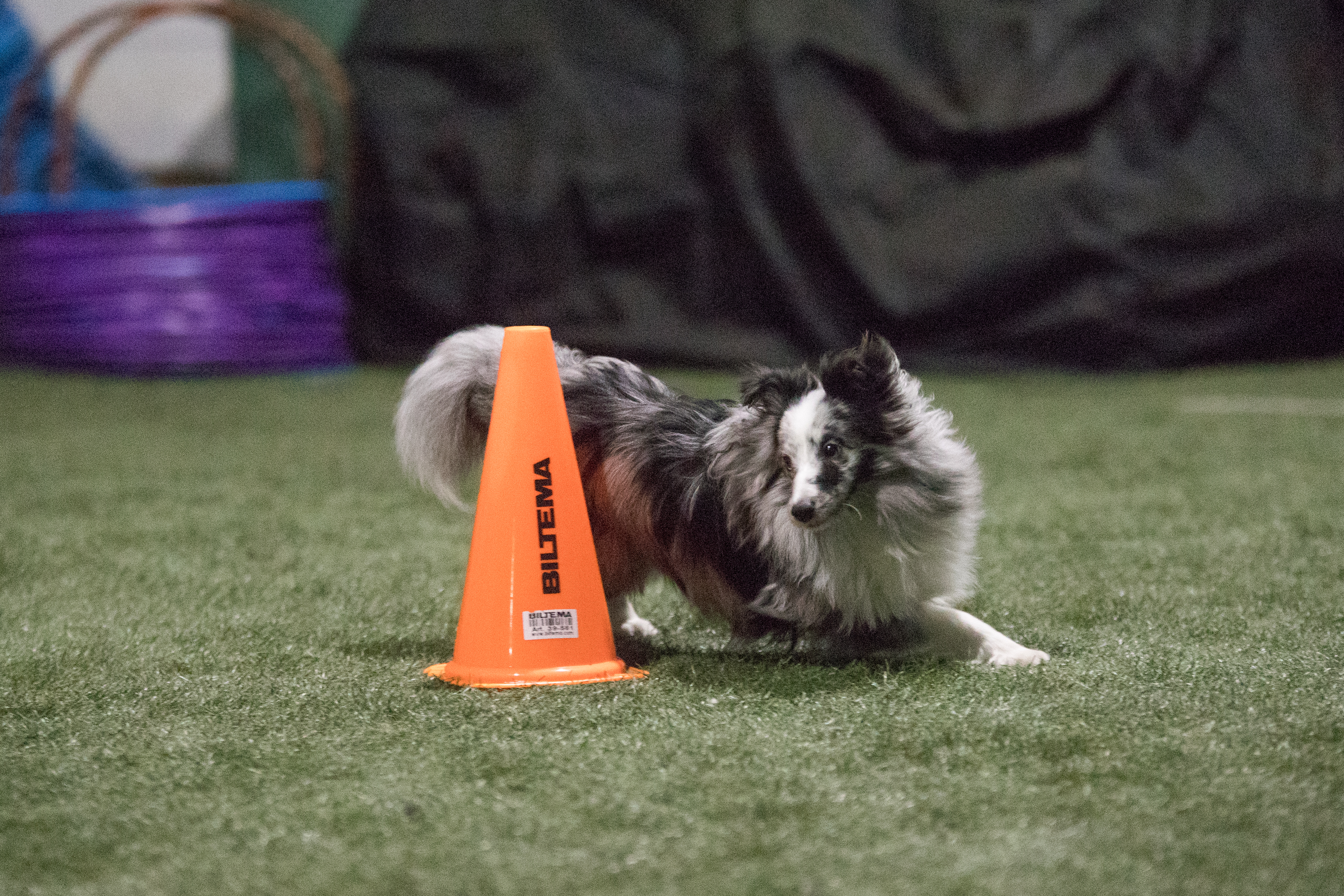 Agility foundation best sale