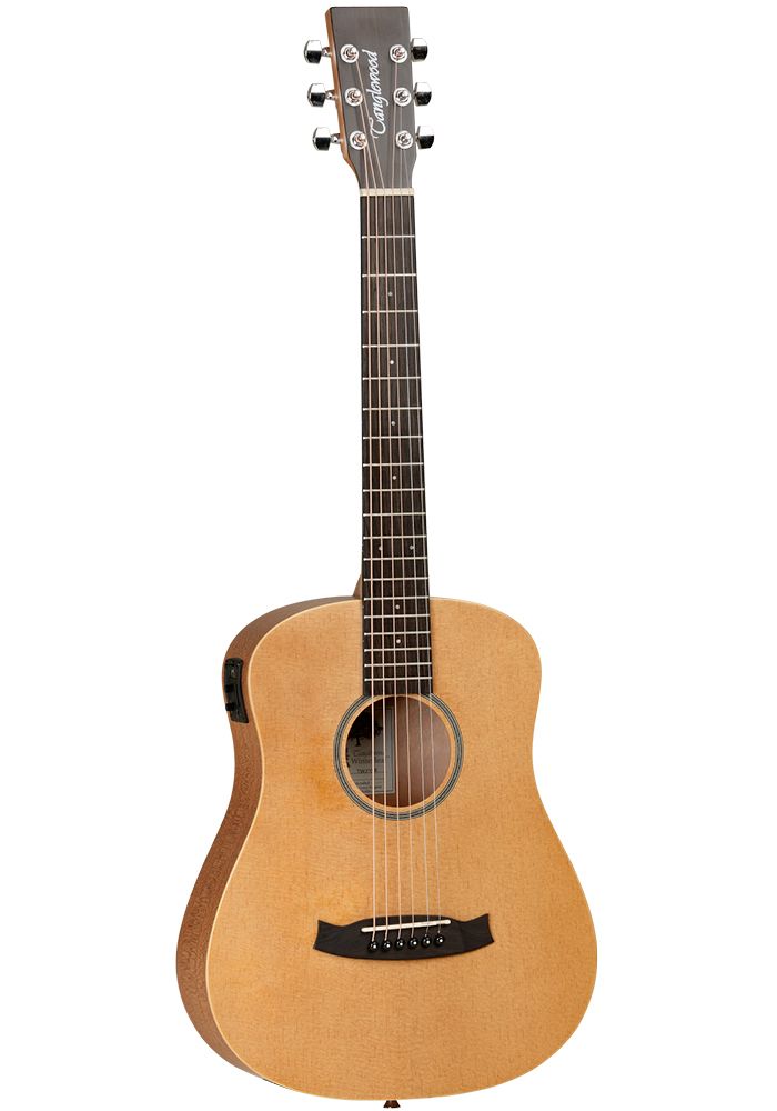 Tanglewood travel guitar deals