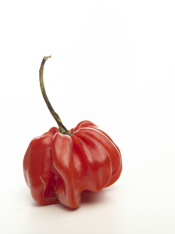 Scotch bonnet store scoville scale