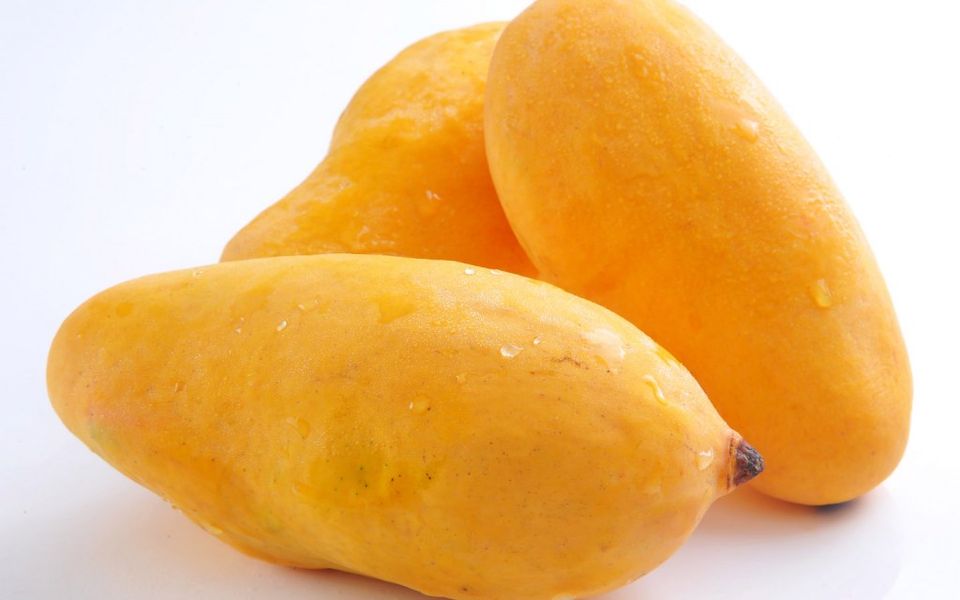 What Is a Honey Mango?