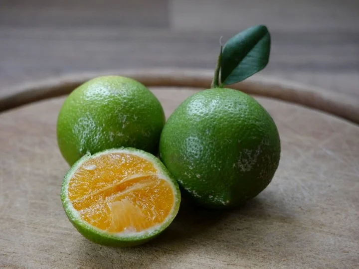 Citrus Rangpur (Citrusu Rangpur, citrus rangpur, citrusovou vůni) Citrus Rangpur