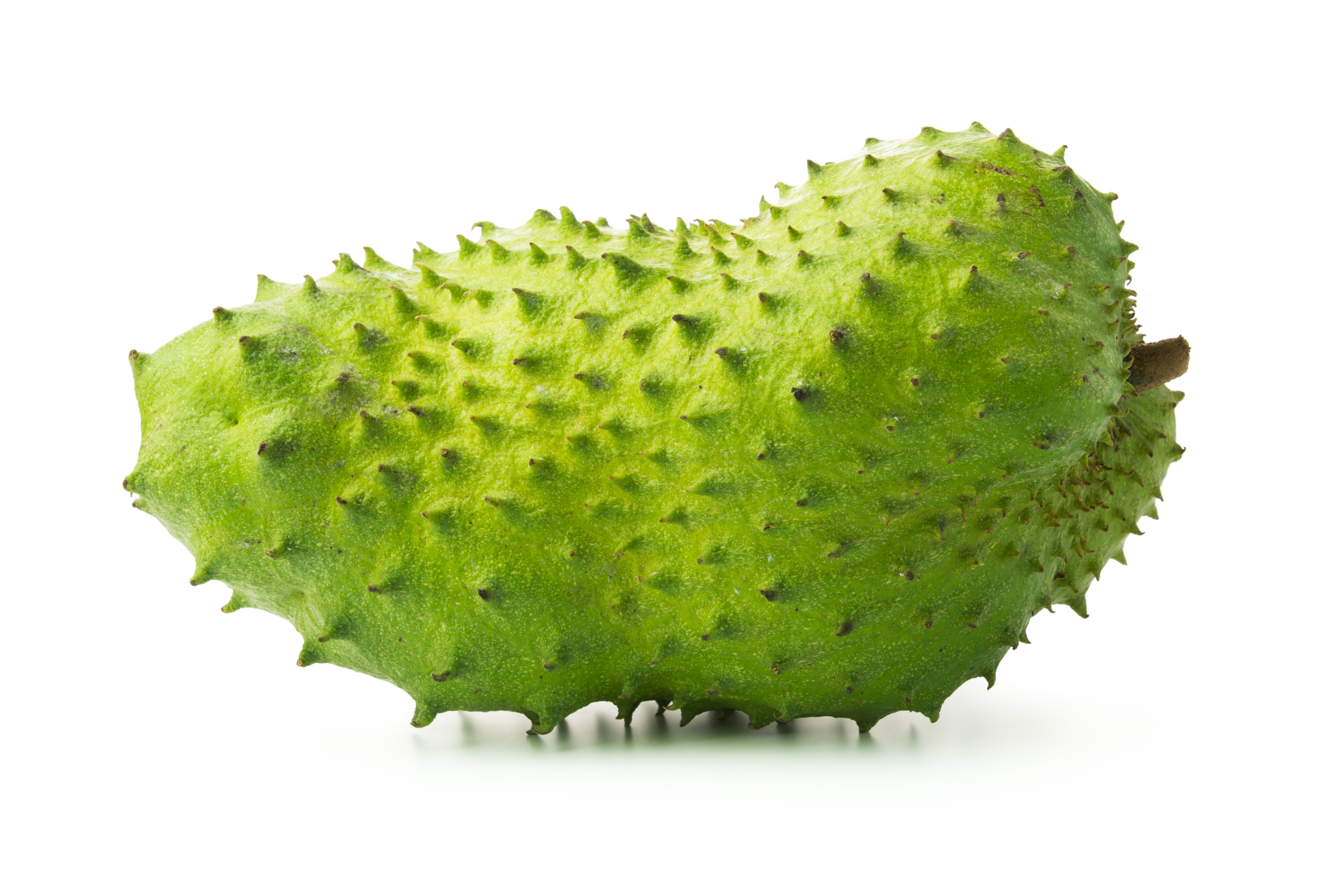 速くおよび自由な Fruit Tropical Healthy Refreshing, – Soursop - Exotic My その他