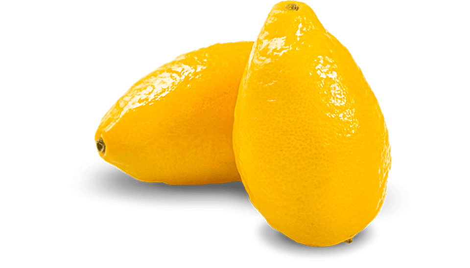 Snack Lemons - My Exotic Fruit - The UK's Leading Exotic Fruit