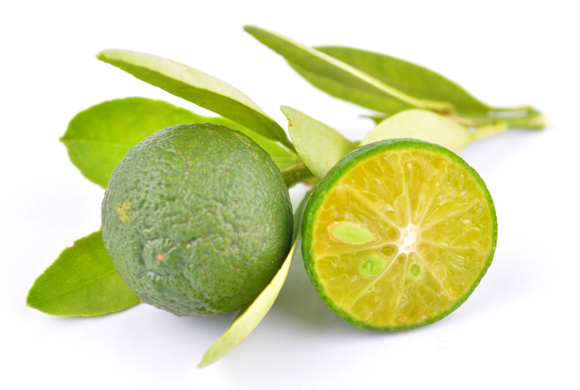 Citrus calamansi dried My Exotic Fruit The UK s Leading Exotic Fruit Retailer