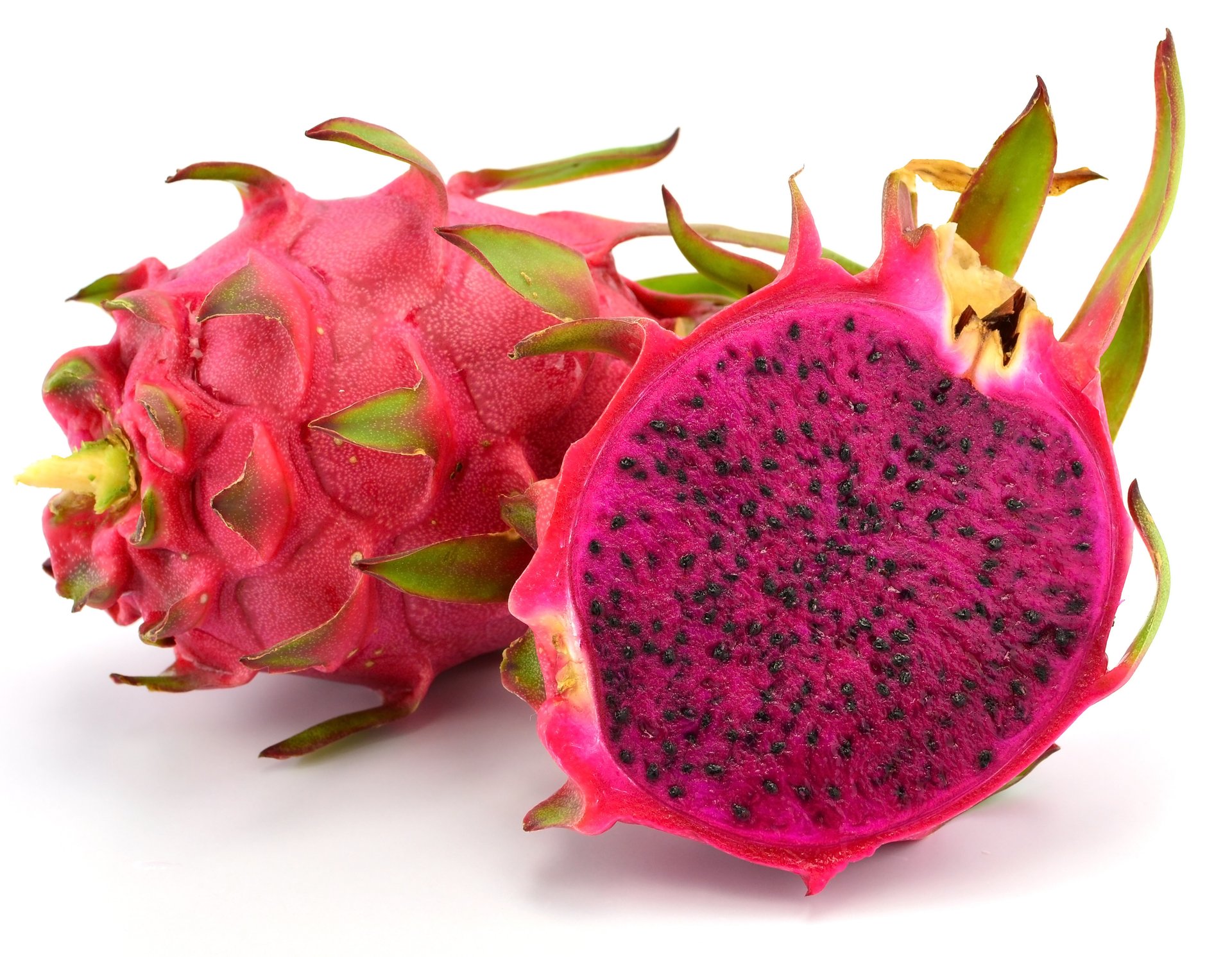 fruit 
