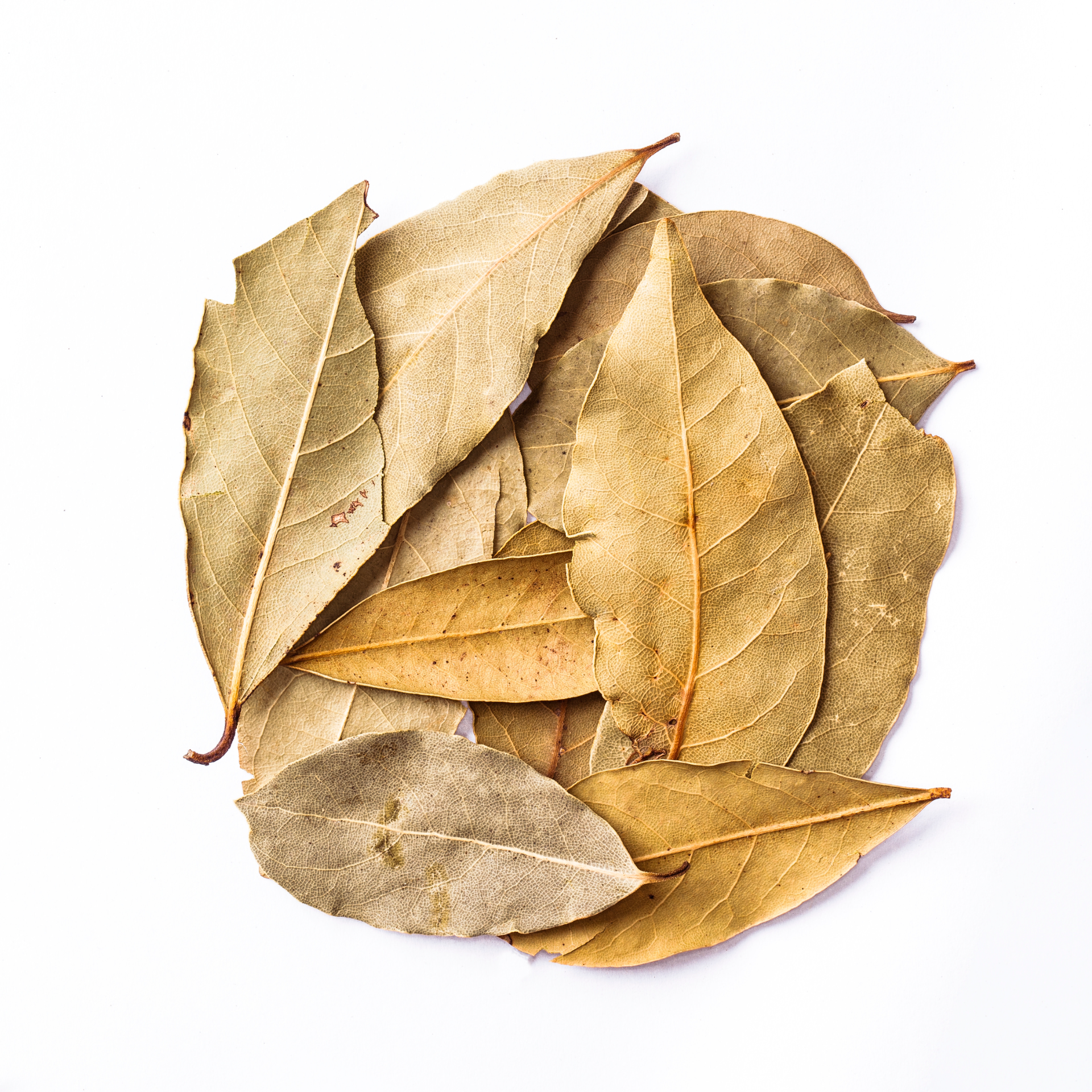 Dried Soursop Leaves, Perfect for Making Soothing Herbal Tea