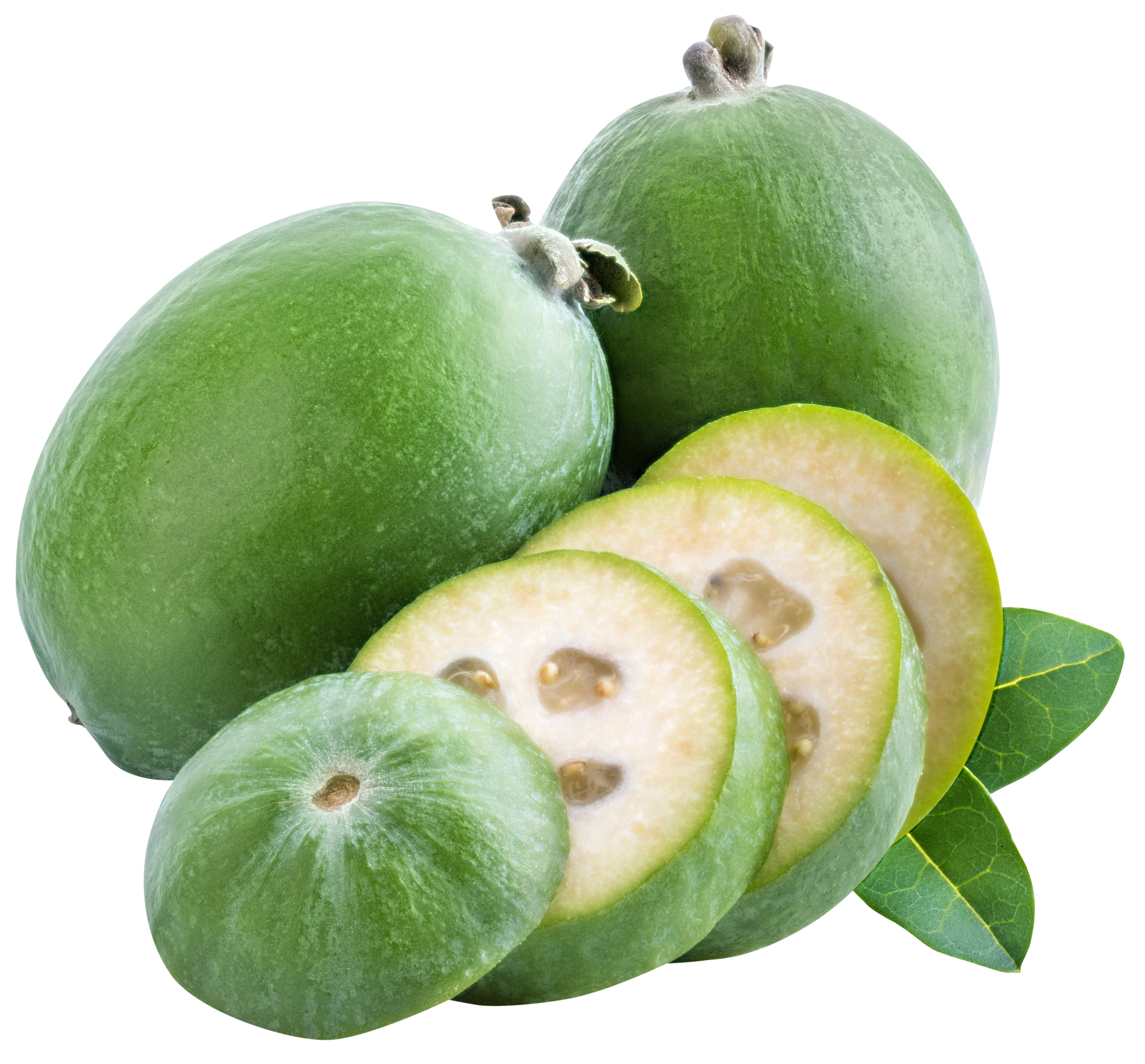 Feijoa fruit discount