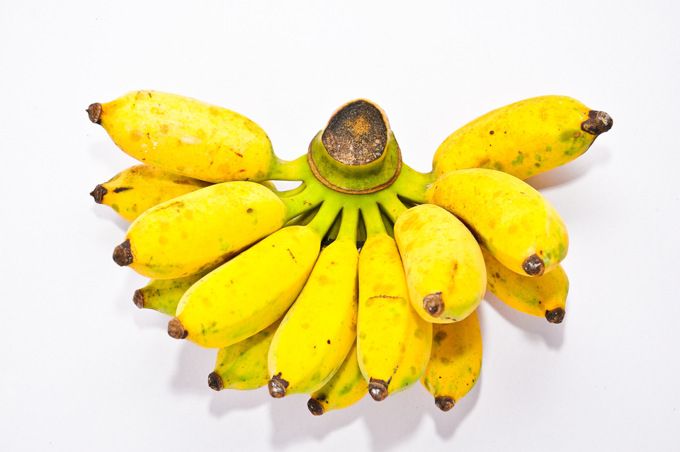 My banana new arrivals