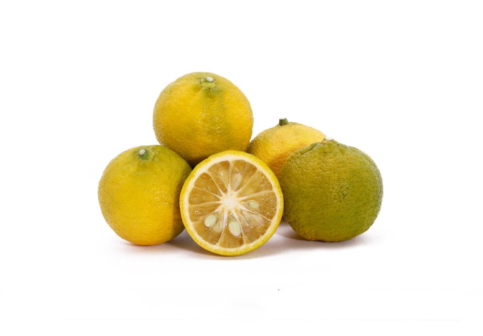 Kabosu Citrus, Gourmet Citrus Fruits - My Exotic Fruit - The UK's
