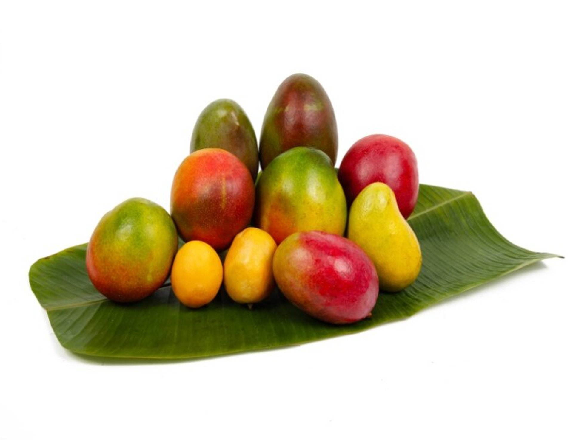 Apple Mango, Delicious Red-Blushed Mangoes - My Exotic Fruit - The
