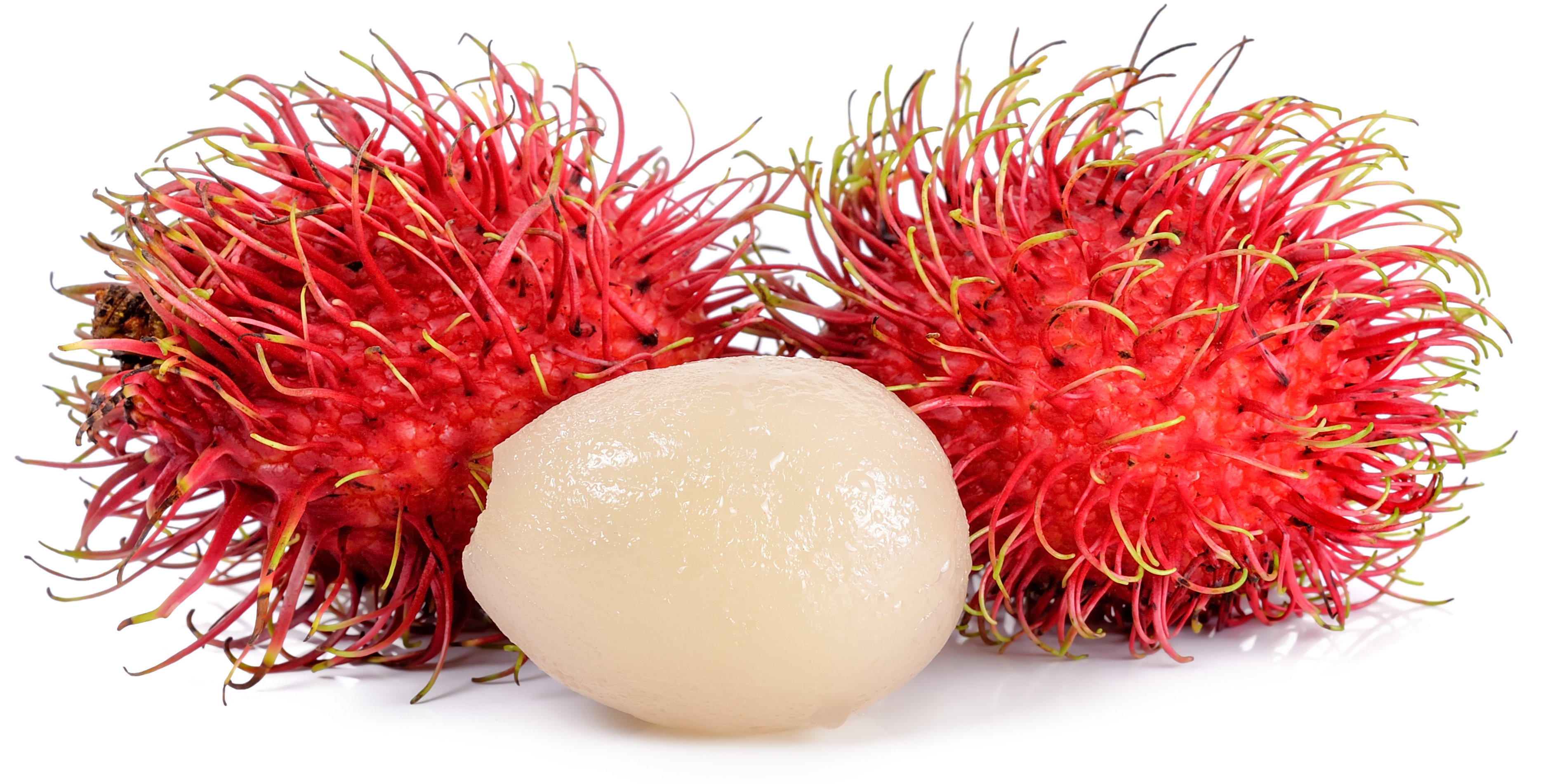Rambutan Amazingly Eye Catching Fruits MyExoticFruit The UK s
