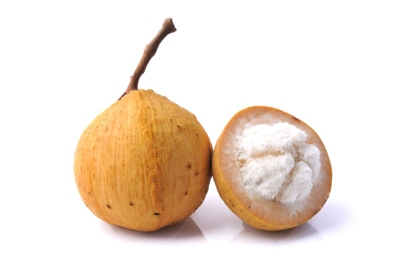 Santol fruit clearance
