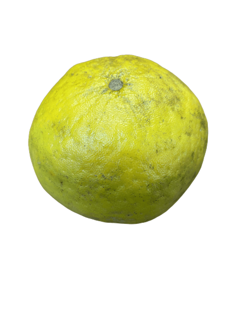 Onam bilan jinsiy aloqa video