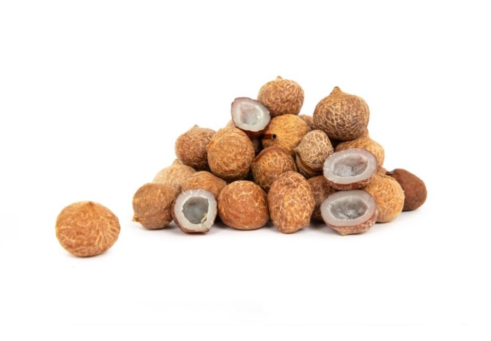 ここなっつ Coconut - Mini Coconut | Discover Coquito Nuts - My Exotic Fruit
