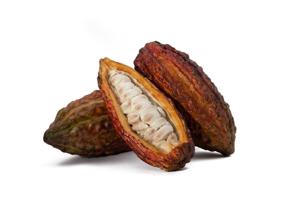 cocoa pod kaufen MyPod Pods 2×600 Züge – 20mg Nikotin – Blue Raspberry • TOBALIQ main image 0